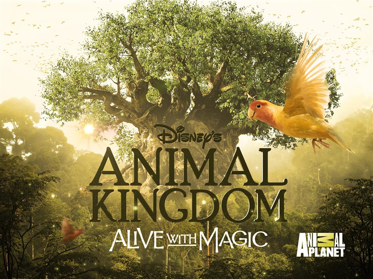 Arrow Media behind Disney+ documentary ‘Animal Kingdom’